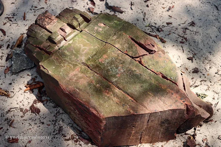 Read more about the article อักษรชวาในป้ายหลุมศพโบราณที่สงขลา กับจารีตคำเรียกเครือญาติที่มีรากมาจากคำชวาของคนมุสลิมลุ่มทะเลสาบ