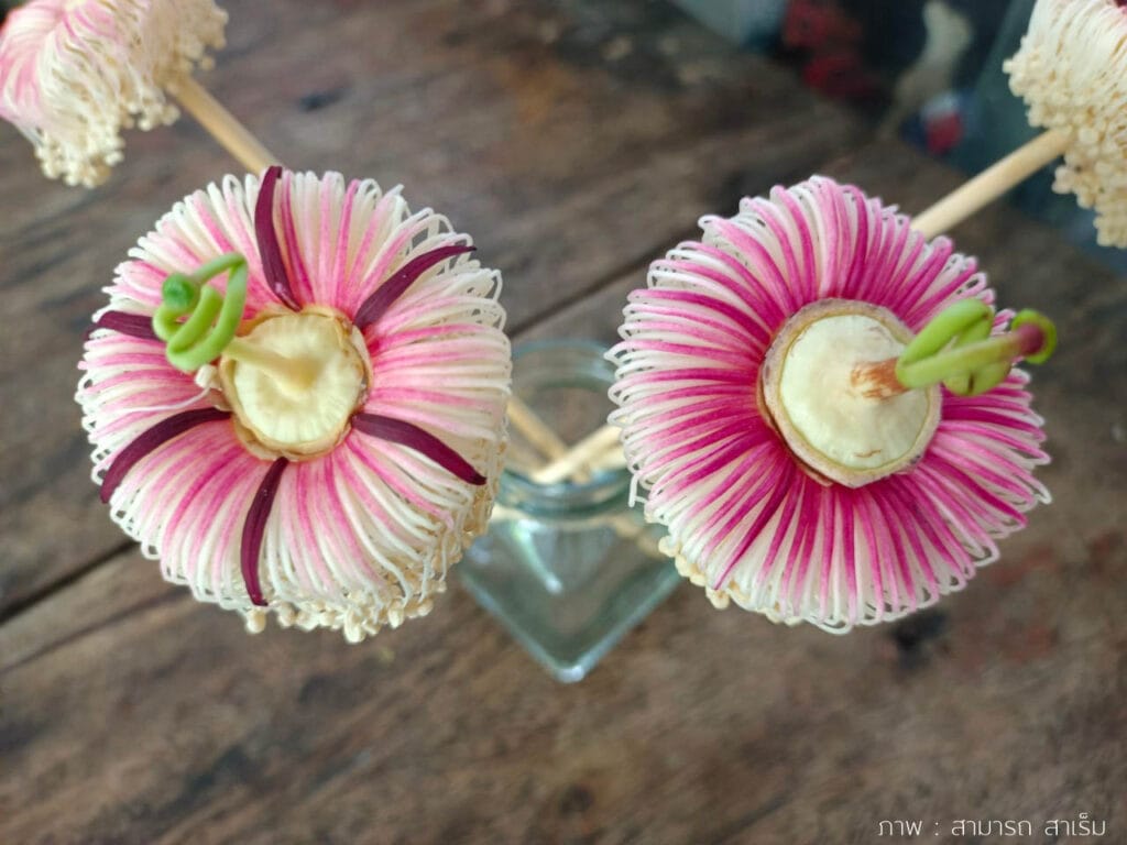 Read more about the article ร่มของเล่นจากดอกลำพู