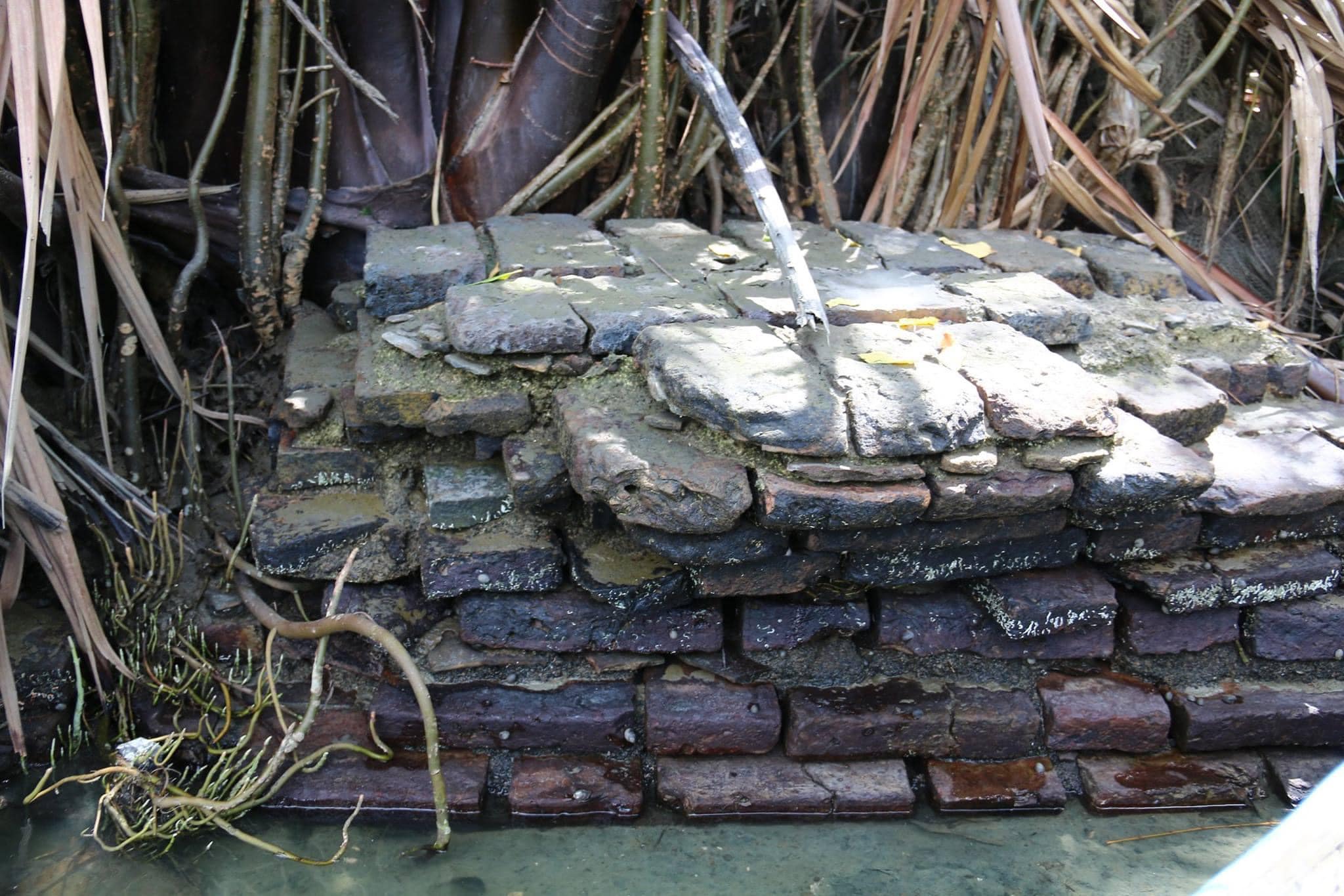 Read more about the article มีป้อมรักษาปากน้ำเมืองนครศรีธรรมราชที่ปากพญา ?