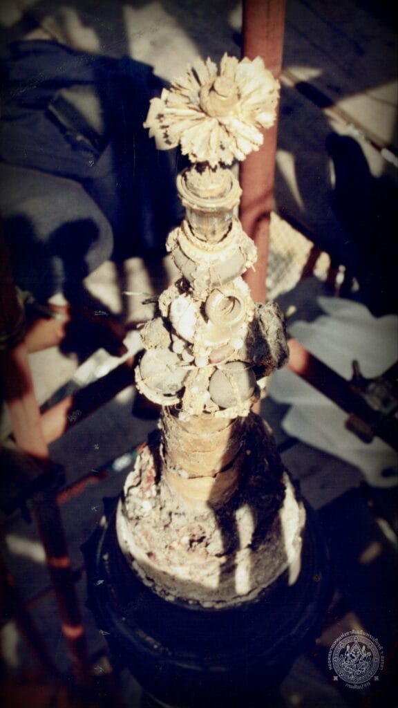 Read more about the article จารึกปริศนาที่ยอดพระบรมธาตุ กับวัตถุในตำนานที่ถูกลืมเลือน