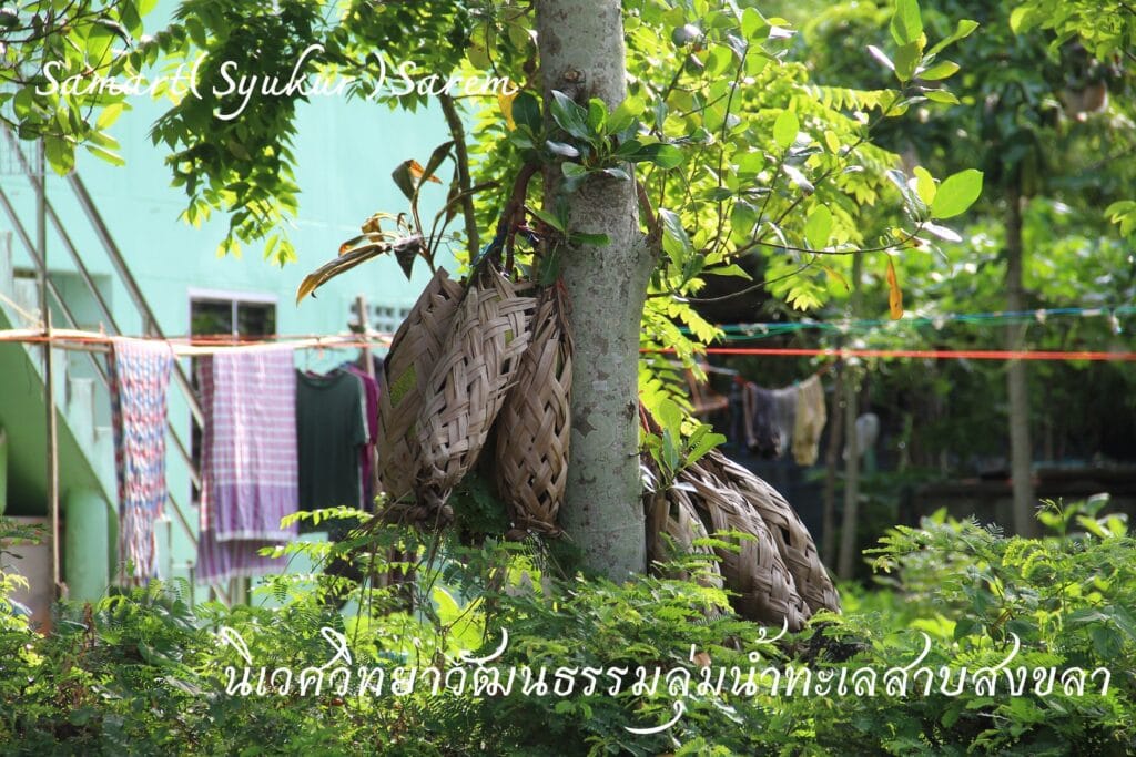 Read more about the article ซ่อนลูกไม้ใน “กล” ซ่อนผลไม้ใน “โคระ”