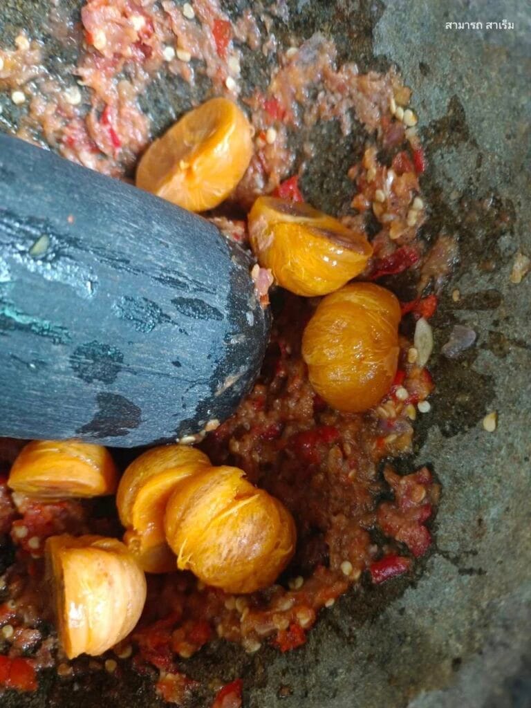 Read more about the article น้ำชุบส้มมวง จากริมคลองท่าดี