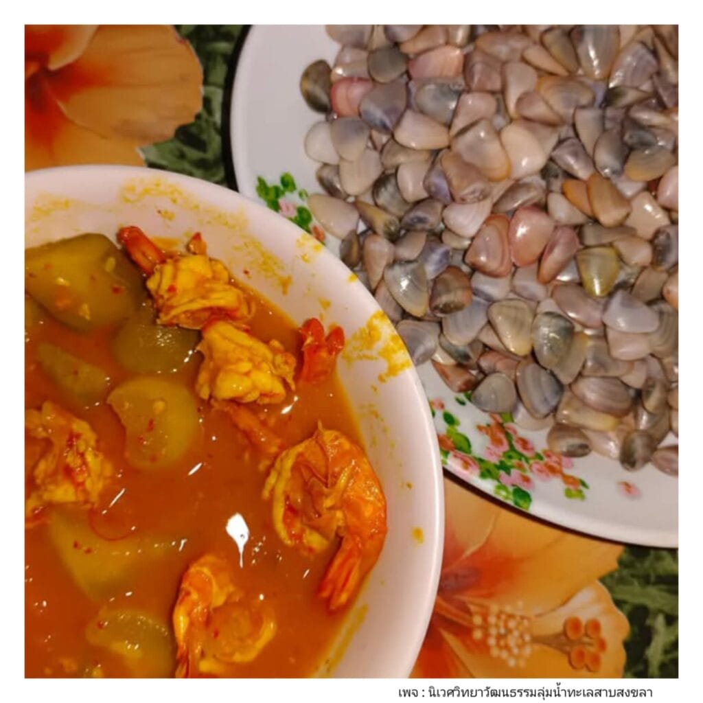 Read more about the article แกงส้มกุ้งกับเเตงเบา สูตรวะฉ๊ะบ้านชุมพลชายทะเล