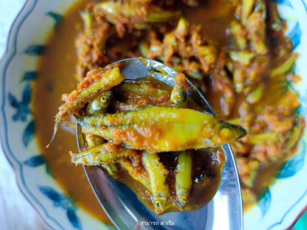 Read more about the article แกงคั่วส้มปลาซิว : แบบคนบ้านไทยนครศรีธรรมราชบ้านวังวัว