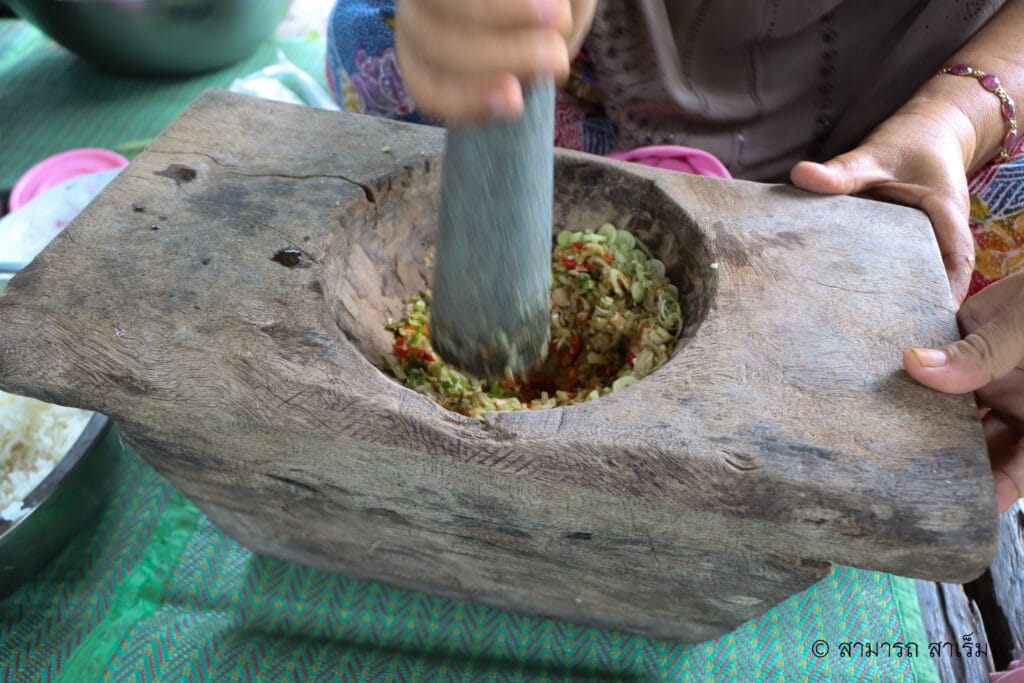 Read more about the article ข้าวดอกราย : รสมือ “นิ” คนสะกอม