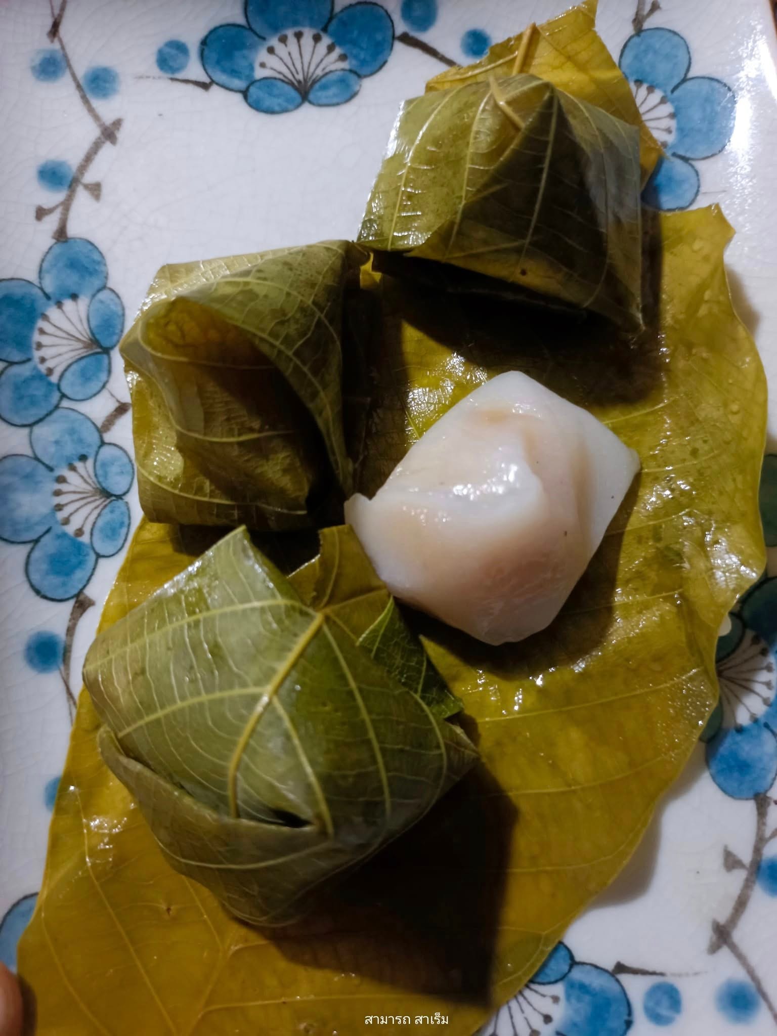 Read more about the article “หนมค่อม” ห่อใบยางพารา: เมื่อภูมิปัญญาข้ามถิ่น สัมพันธ์กับประวัติศาสตร์สวนยางบางแก้ว