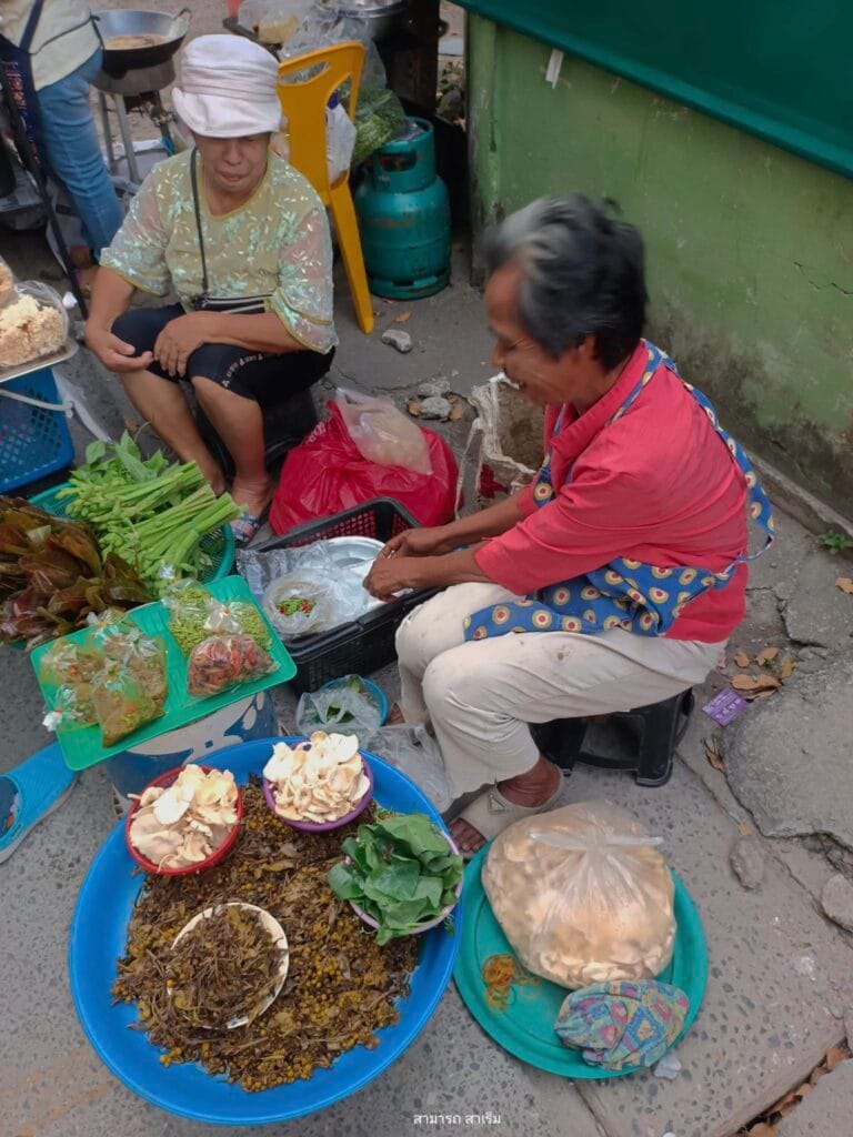 Read more about the article “เห็ดขาว” ที่บ้านโคกคราม: จากขอนไม้มะม่วงเบา สู่จานอาหาร