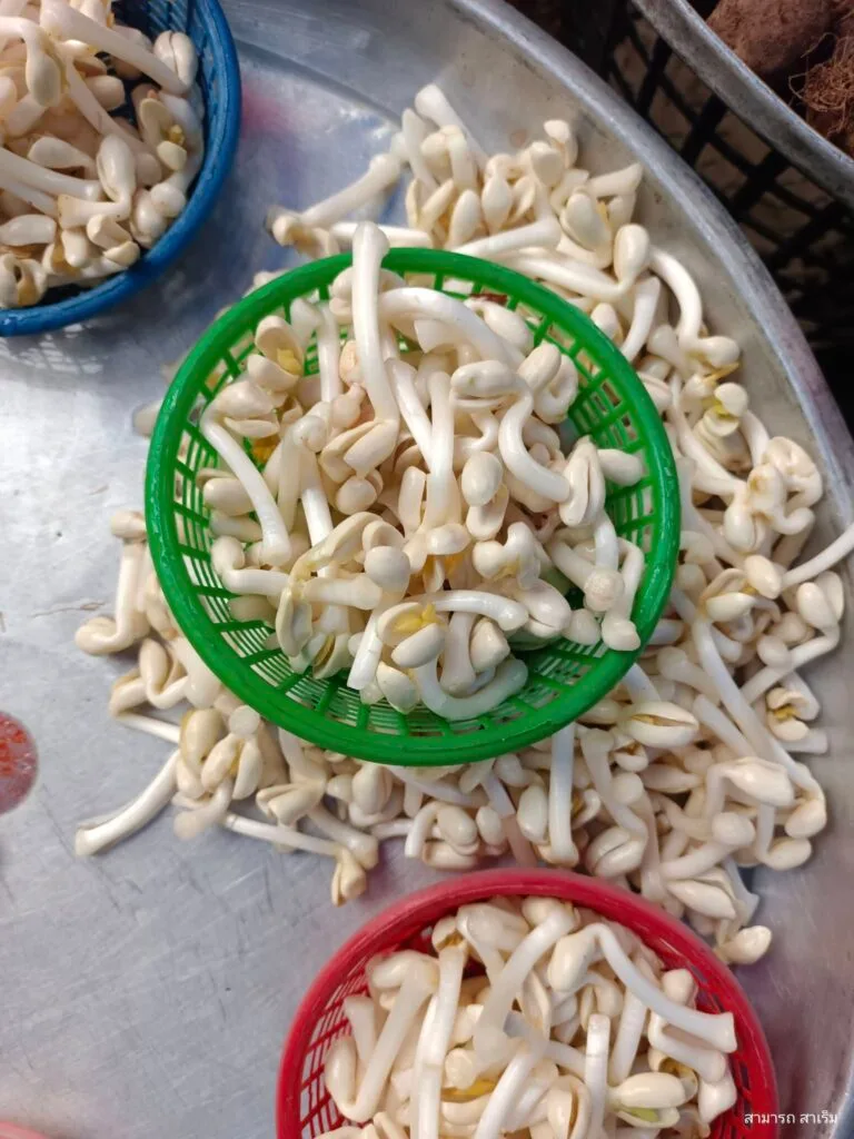 Read more about the article จากตลาดเช้าเสาร์ อาทิตย์ถนนพัฒนาการคูขวาง สู่แกงส้ม “ปลาทูมัน-ถั่วหัวโต”