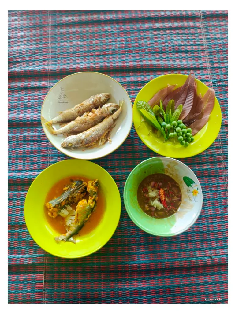 Read more about the article มื้อเที่ยงสุดพิเศษ : ริมเลสาบที่บ้านท่าเสา บนคาบสมุทรสทิงพระ