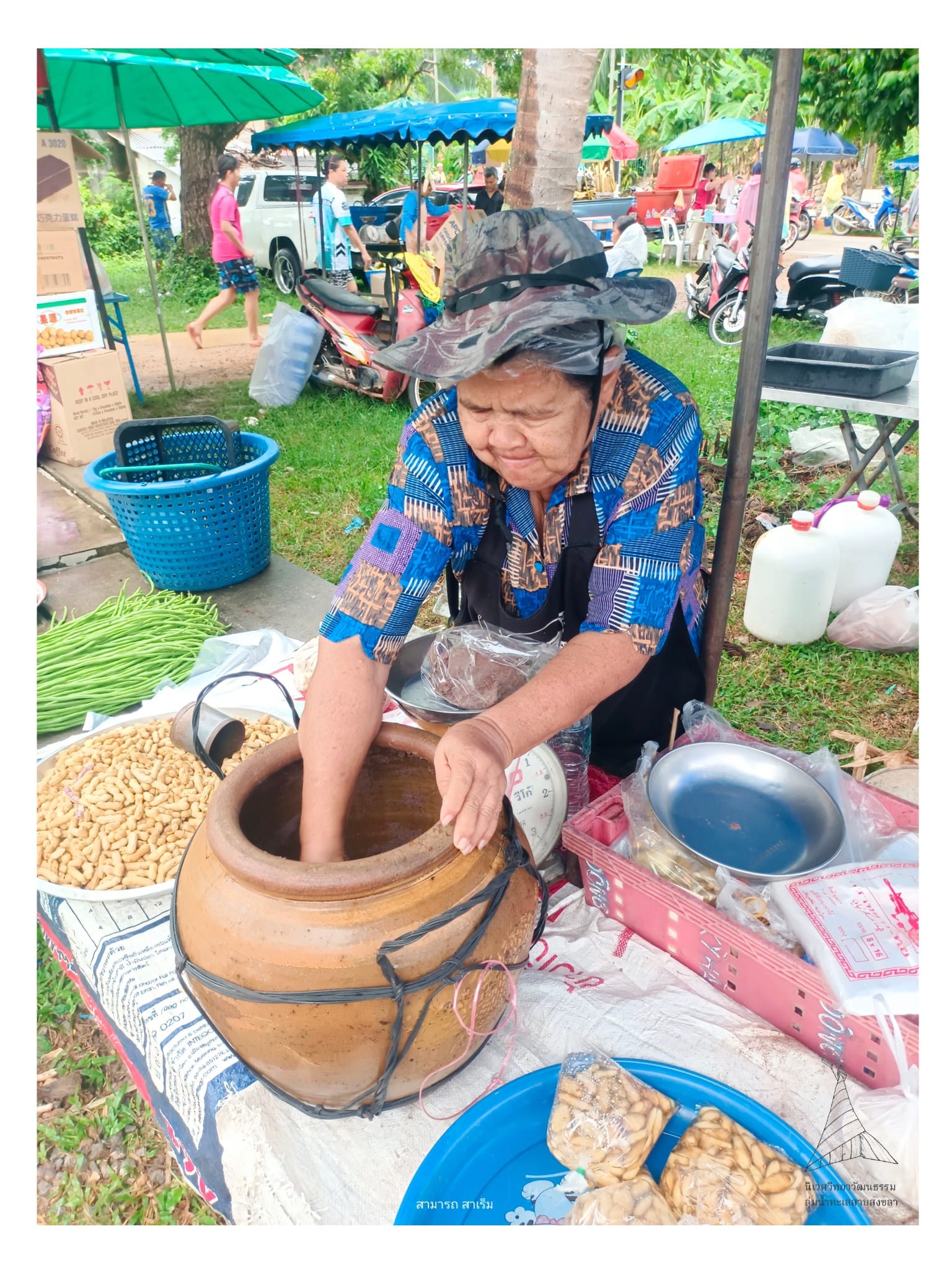 Read more about the article เคยตูไชย : กะปิกุ้งคนคาบสมุทรสทิงพระสงขลา