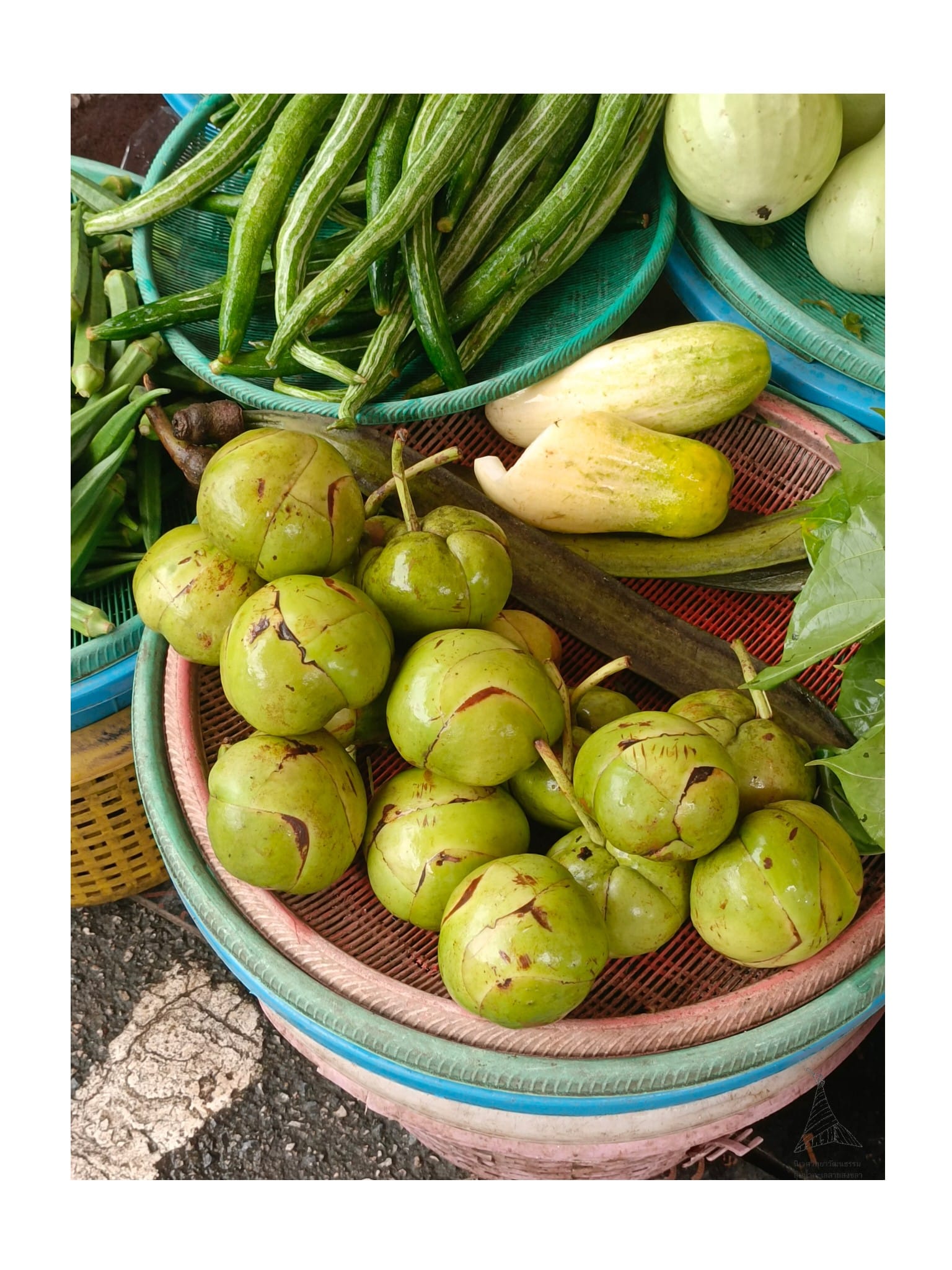 Read more about the article พล่าซ่าหาดใหญ่ : เมื่อ “เสียง” แห่งอดีตดับลงและการมาของผู้คนที่นำพารสชาติใหม่ๆ ติดตัวมา