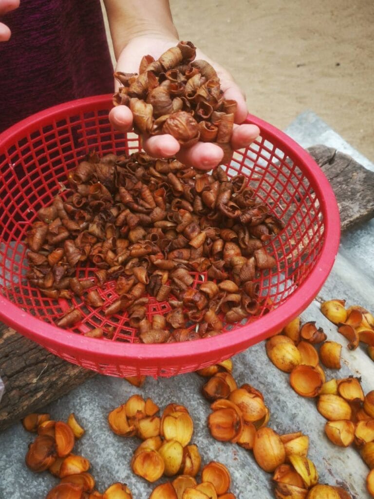 Read more about the article จากริมคลองสู่ครัว : ทดลองแกงส้มปลาแป้นด้วย “ส้มมวงแห้ง”