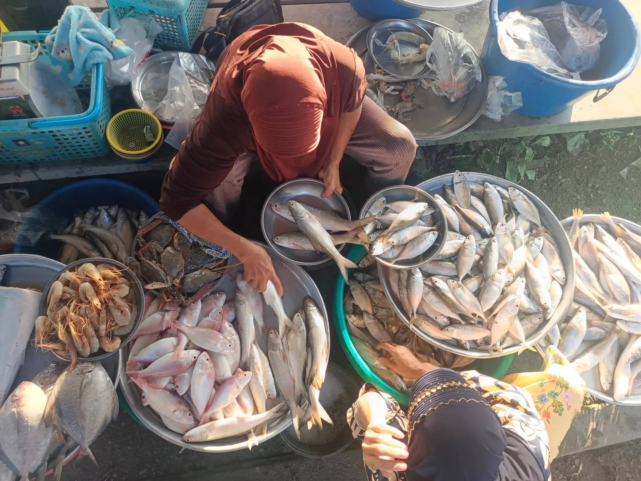 Read more about the article หรอยหนัด เสน่ห์ปลายจวักปักษ์ใต้ : “ปลาจรวดต้มทิ” คู่ “น้ำชุบส้มนาว”