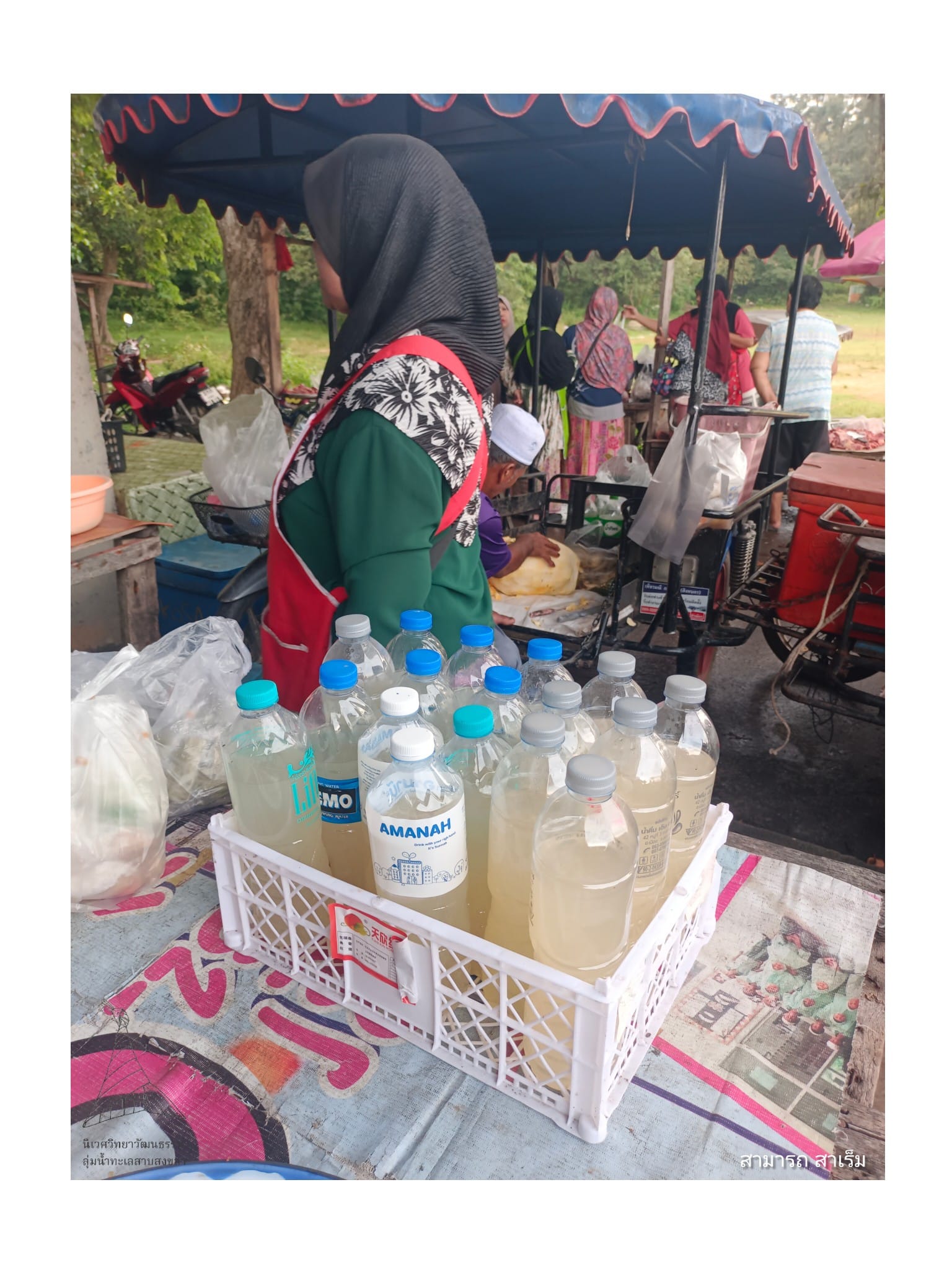 Read more about the article “น้ำส้มพร้าว” : มรดกภูมิปัญญาคนคาบสมุทรสทิงพระ ณ ท่าเสาบ้านใหม่