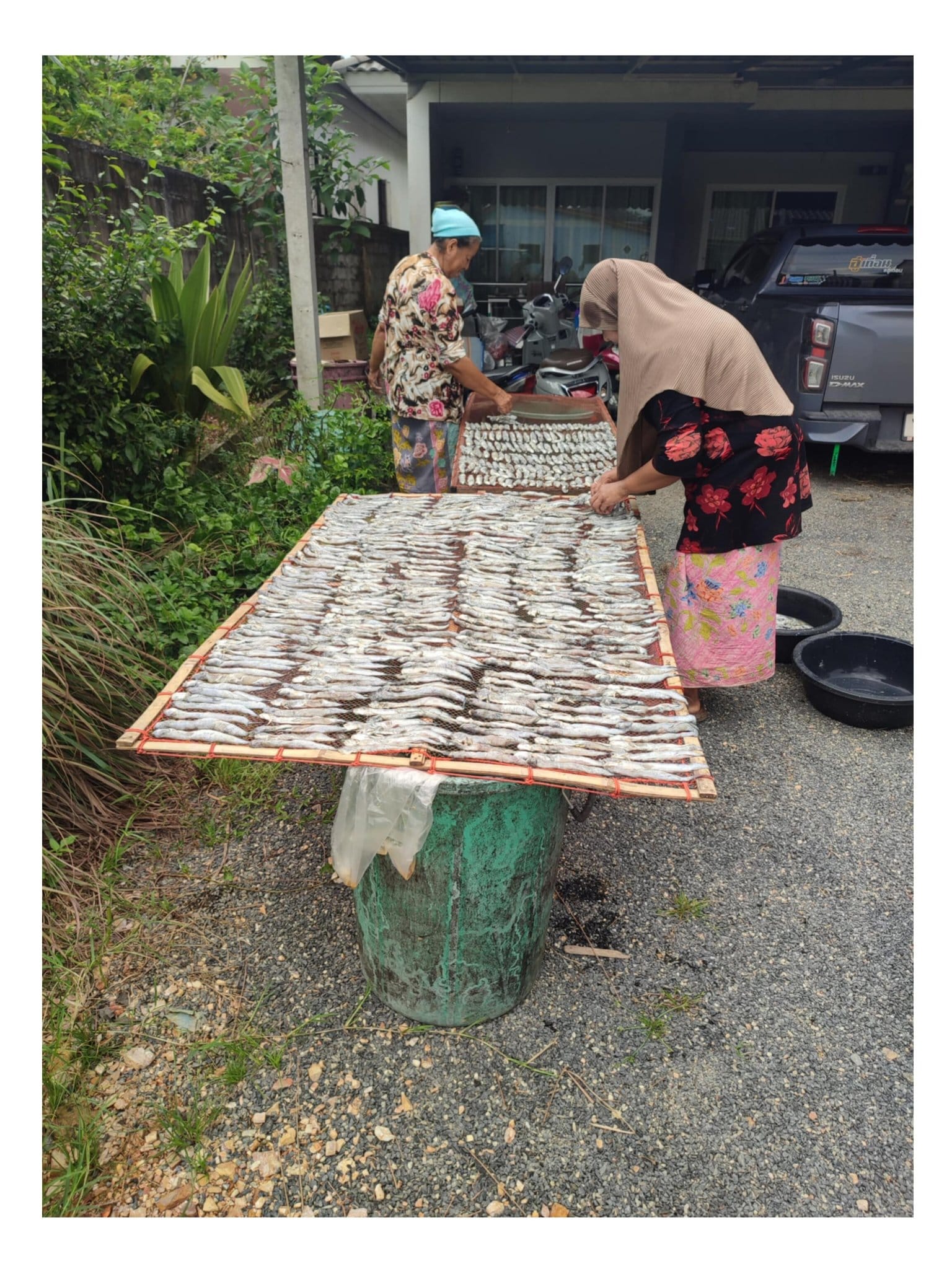 Read more about the article จากเลสาบกลับสู่เลสาบ : ปลาท่องเที่ยวร้าของปี 2568