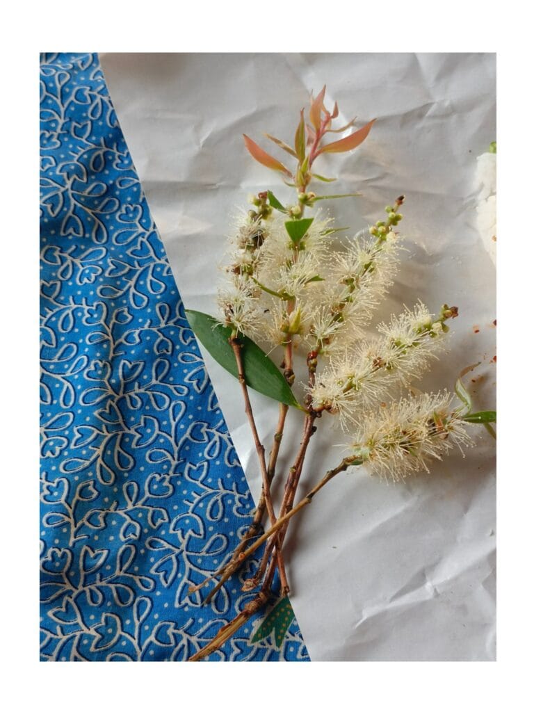 Read more about the article ดอกไม้กินได้ : หม้อข้าวหม้อแกงจากป่าเเหม็ดริมคลองอู่ตะเภาและทะเลสาบสงขลาตอนล่าง