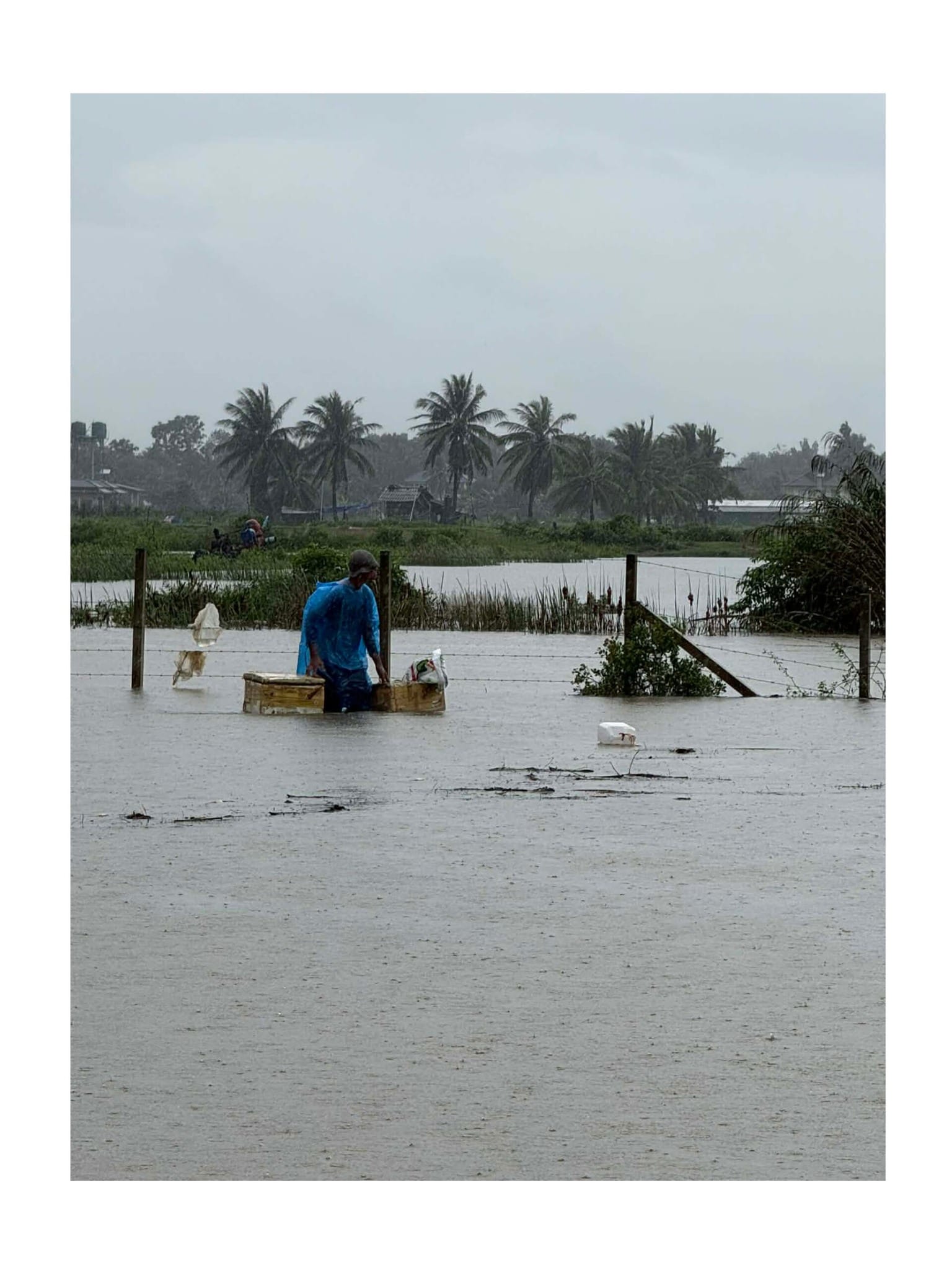 Read more about the article ทุกข์ระทมริมเลสาบ : เมื่อความหวังของคนปลายน้ำหาดใหญ่ ลอยหายไปกับมหาอุทกภัย