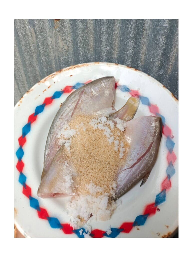 Read more about the article ปลาส้มสูตร “วะ” : ภูมิปัญญาถนอมปลาจากลุ่มน้ำอู่ตะเภา