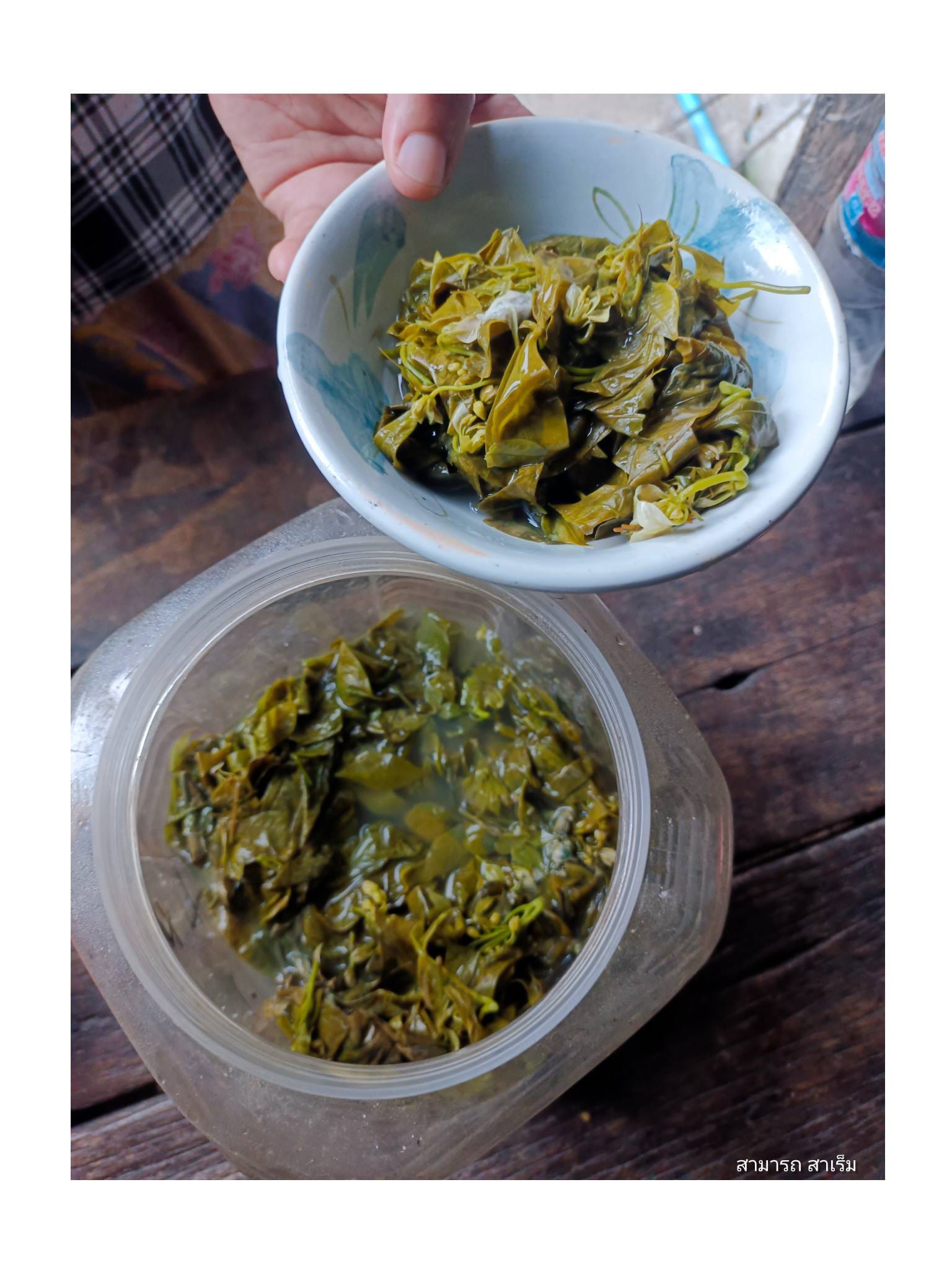 Read more about the article สัมผัสรส “ยอดลากลมดอง” ตำรับพื้นบ้านจากมือมะแก่