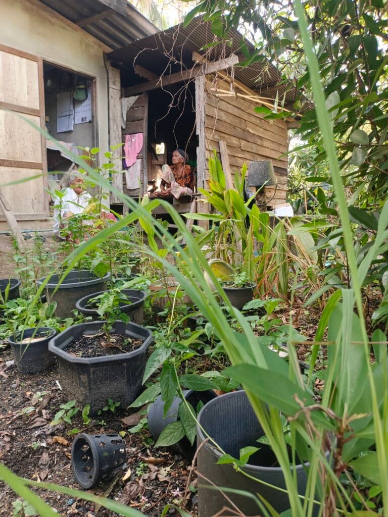 Read more about the article ปากคำคนเชิงเขาบรรทัด : ในวันที่ห่าฝนพรากความมั่นคงทางอาหารไปจากหลังบ้าน หลังวิกฤติฝนผ่านพ้นปี2568