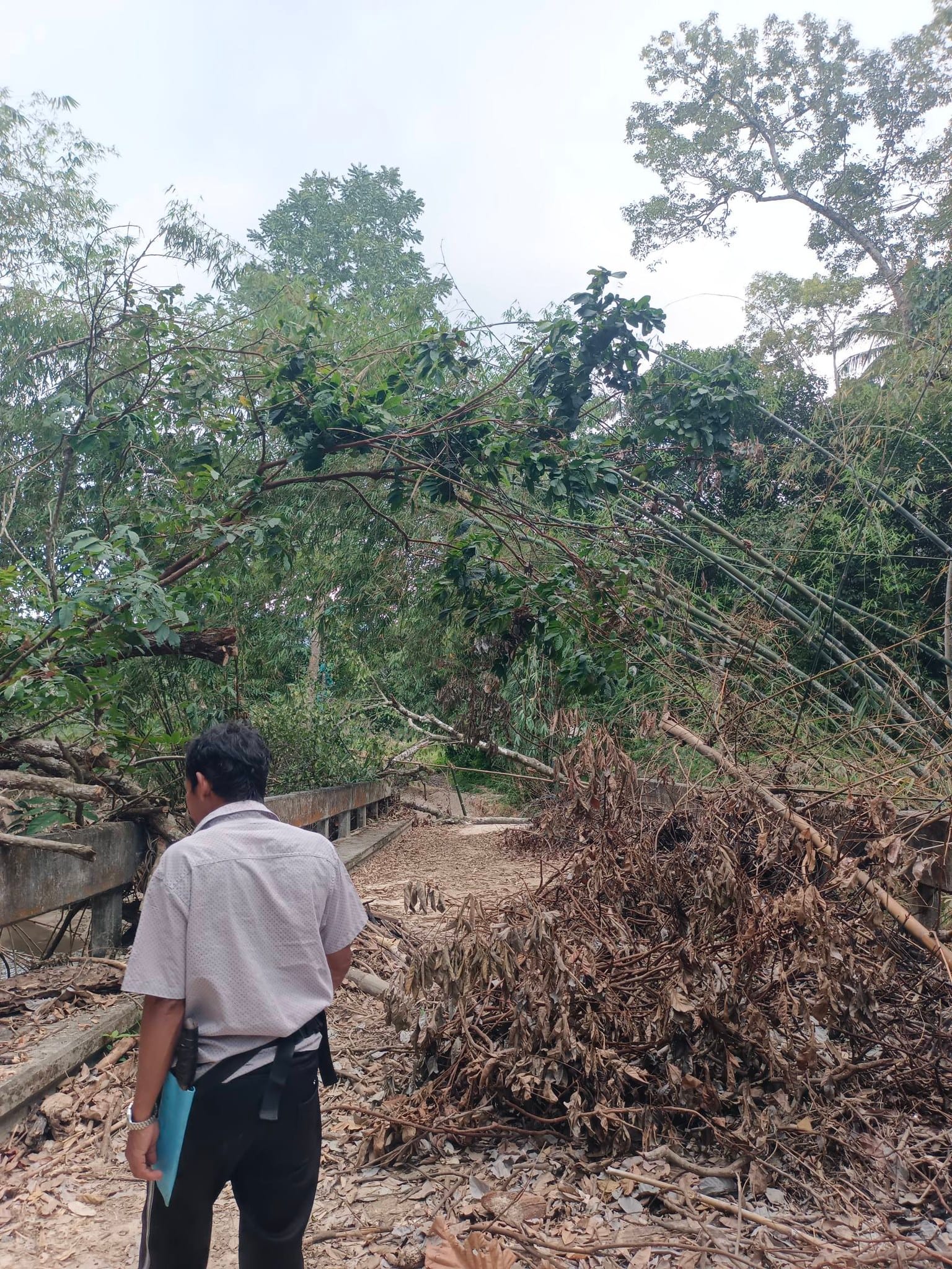 Read more about the article หมายเหตุอุทกภัย 2568 : บันทึกร่องรอยจากต้นน้ำคลองอู่ตะเภา…