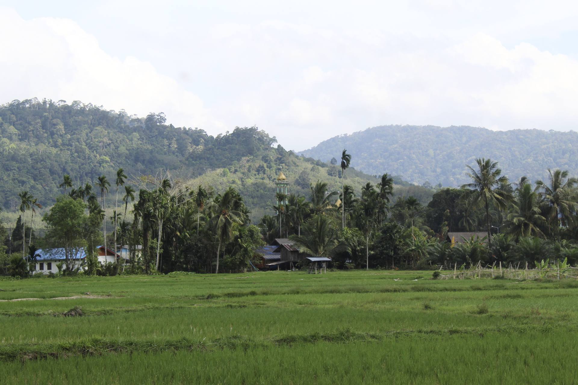 Read more about the article จากดอยสู่ตีนเขา ลมหายใจในนาขั้นบันได ณ บ้านคลองกั่ว