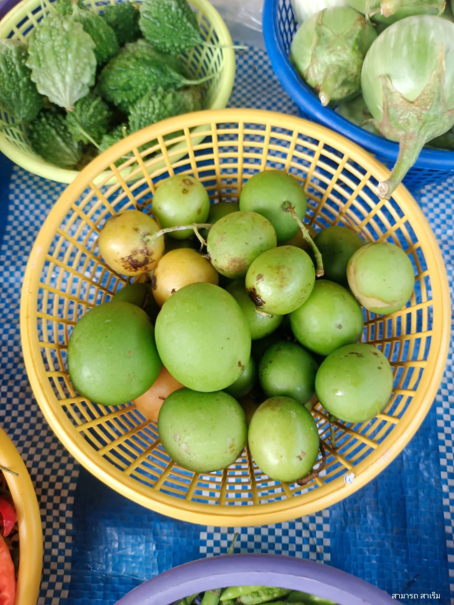 น้ำชุบส้มปริง: น้ำพริกมะปริง จากปลายน้ำคลองอู่ตะเภา