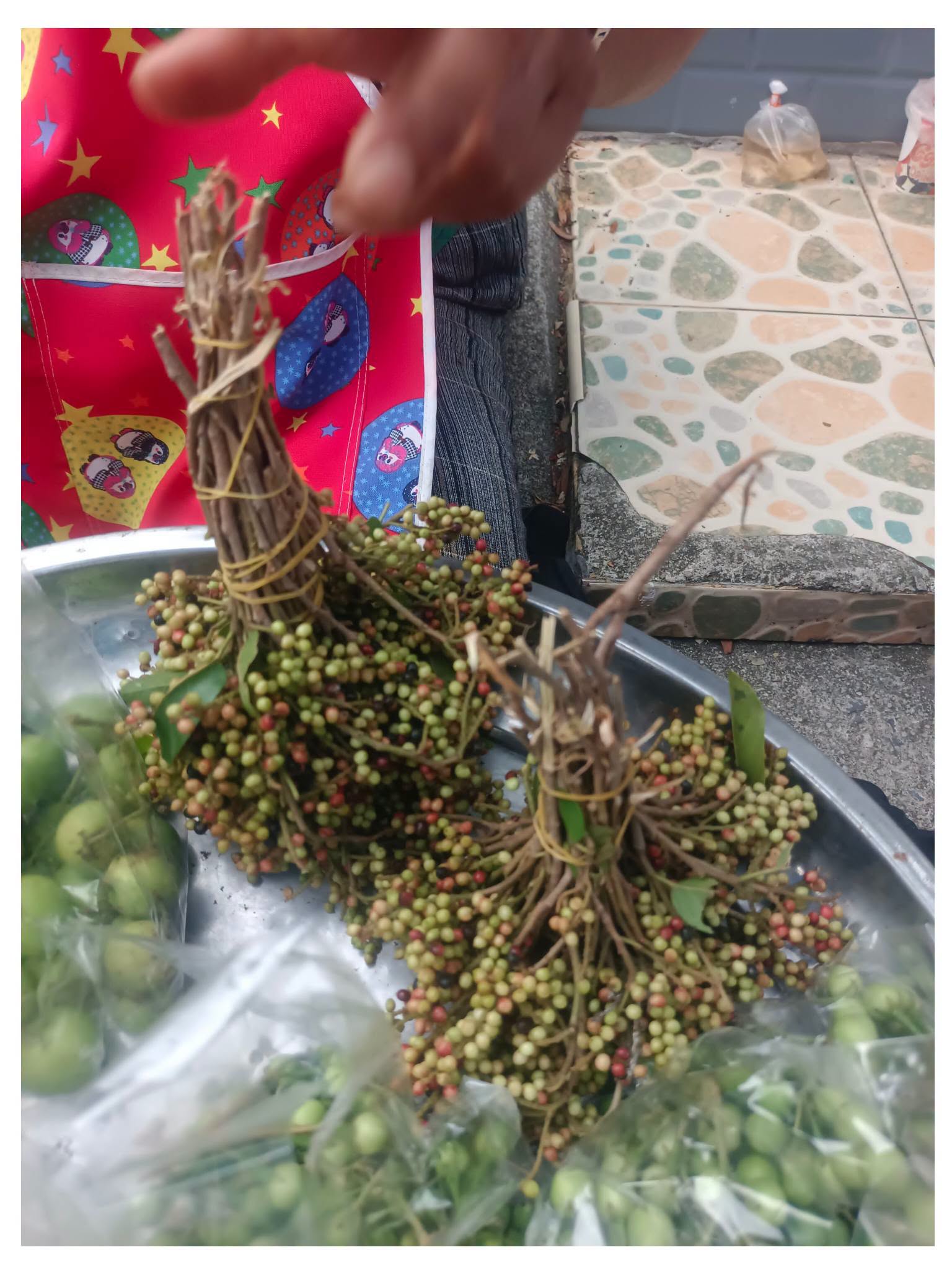 ลูกเม่าทิ่มพริกเกลือ : ของกินเล่นแบบคนนครศรีธรรมราช